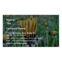 Dandelion Flower Almost In Bloom Business Card Template