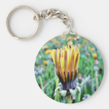 Dandelion Flower Almost In Bloom Key Chain