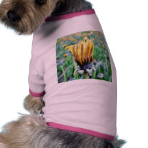 Dandelion Flower Almost In Bloom Pet Tee Shirt