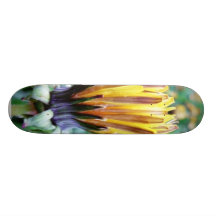 Dandelion Flower Almost In Bloom Skate Decks