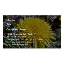 Dandelion Flower In Grass Business Card
