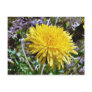 Dandelion Flower In Grass Post Cards