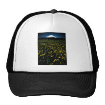 dandelion flower mountain mesh hats