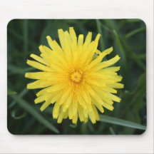 Dandelion Flower Mouse Pads