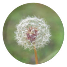 Dandelion flower party plates