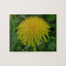 Dandelion Flower Puzzle
