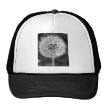 Dandelion Gone to Seed Hat
