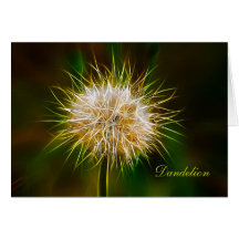 Dandelion Greeting Card