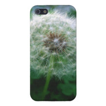 dandelion in the garden cover for iPhone 5