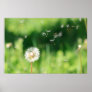 Dandelion in the Wind Print