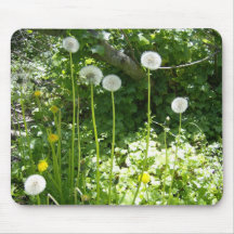 Dandelion mouse pad