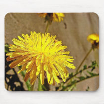 Dandelion Mouse Mats