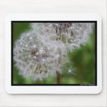 dandelion mousepads