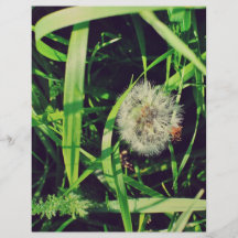 Dandelion Personalized Flyer