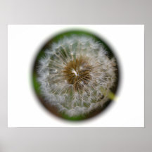 Dandelion Print