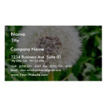 Dandelion Seed Business Card Template
