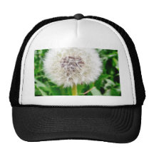 Dandelion Seed Hat