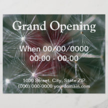 Dandelion Seed Head Personalized Flyer
