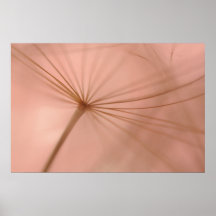 Dandelion seed macrophotography print