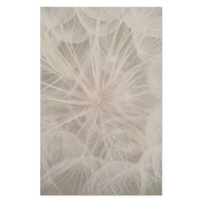 Dandelion Seeds Stationery by SialiciousStationary
