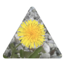 Dandelion Stickers