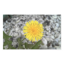 Dandelion Sticker