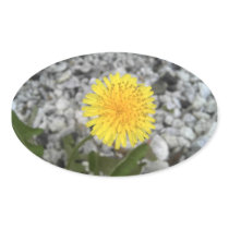 Dandelion Oval Stickers