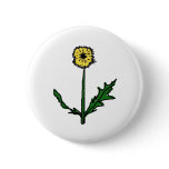 Dandelion T-shirts and Gifts Pinback Buttons
