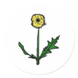Dandelion T-shirts and Gifts stickers