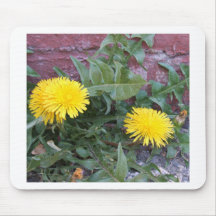 Dandelion Will Make You Wise Mouse Mats