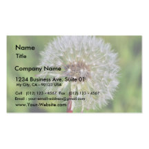 Dandelions 3 business card