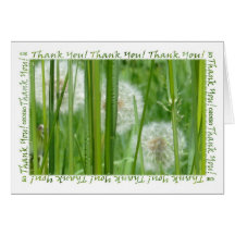 Dandelions in the Green Grass Thank You Card