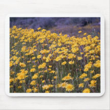 Dandelions Mousepads