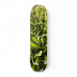 Dandelions On The Meadow Skate Deck