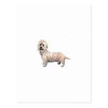 Dandie Dinmont Terrier Post Card