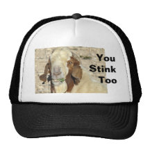 Dandy cap-customize trucker hats