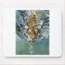 Danger Ahoy! Mousepad