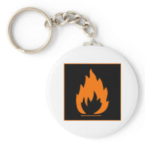 Danger Highly Flammable Warning Sign Chemical Burn Keychains