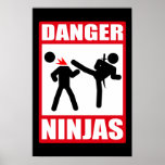 Danger Ninjas