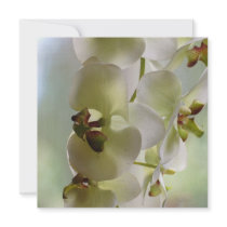 Dangling Orchid  Invitations