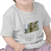 Dangling Orchids Baby T-Shirt