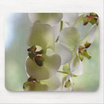 Dangling Orchids Mouse Pad