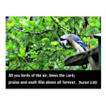 Daniel 3:80 Birds of the air, bless the Lord. Postcard