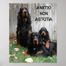 D'ANIMO affiche de générations de poseur NON ASTUT