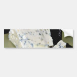 Danish Blue Cheeses Bumper Stickers