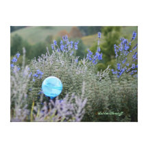 Dans le jardin toile tendue sur châssis
