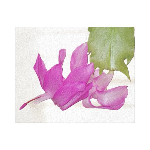 Dans mon jardin, fleur de relief 1 de cactus de No Impressions Sur Toile