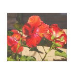 Dans mon jardin, ketmie orange rouge de relief 1 toiles tendues sur châssis