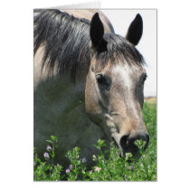 Dapple in Wildflowers~ Kimberly P-Chadwick Cards