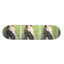 Dappled Appaloosa Horse  Skateboard
